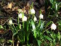 2014-03-09,_Polenztal (9)